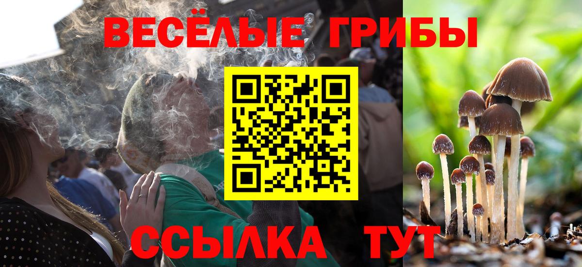Галлюциногенные грибы Magic Shrooms Химки